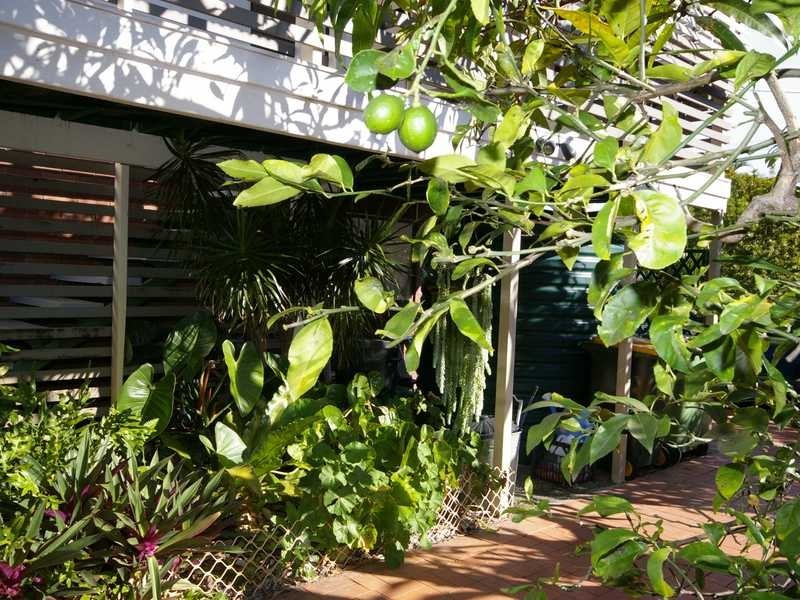 9 Fiona Street, Beachmere QLD 4510