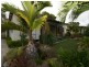10 Gibson Street, Beachmere QLD 4510