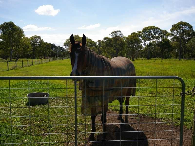 39 Bellay Road, Beachmere QLD 4510