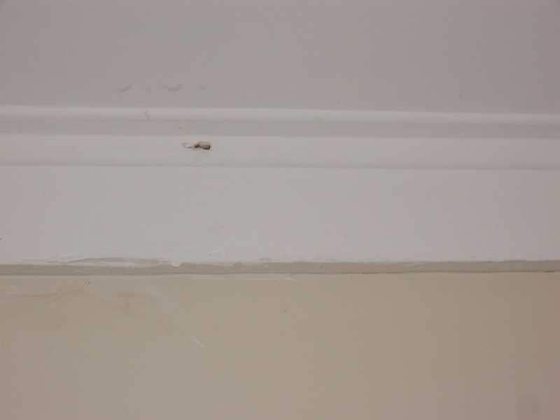 9 Prince Street, Beachmere QLD 4510