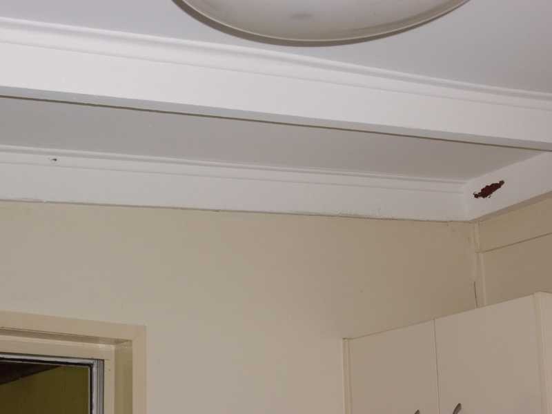 9 Prince Street, Beachmere QLD 4510