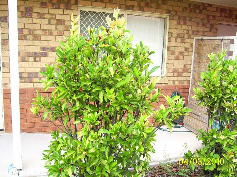 45/56 Biggs Avenue, Beachmere QLD 4510