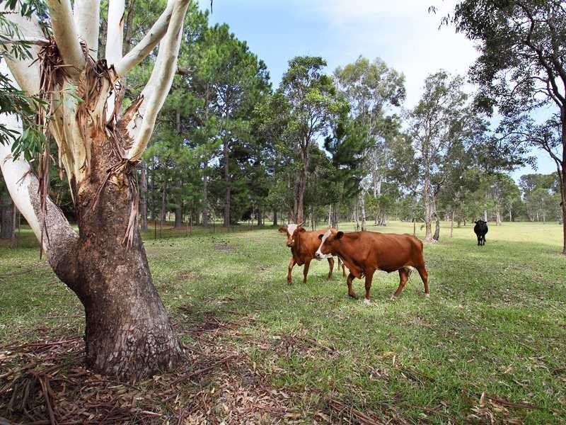 381 Bishop Rd, Beachmere QLD 4510