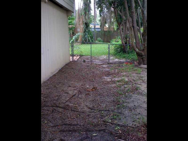 91 Eucalypt Street, Bellara QLD 4507