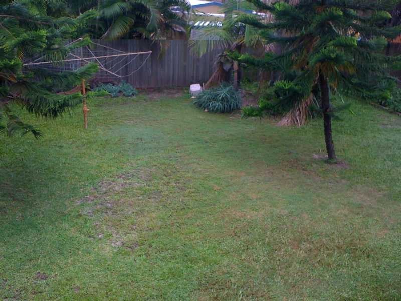 91 Eucalypt Street, Bellara QLD 4507