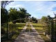 59 Haggartys Avenue, Karrabin QLD 4306
