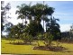 59 Haggartys Avenue, Karrabin QLD 4306