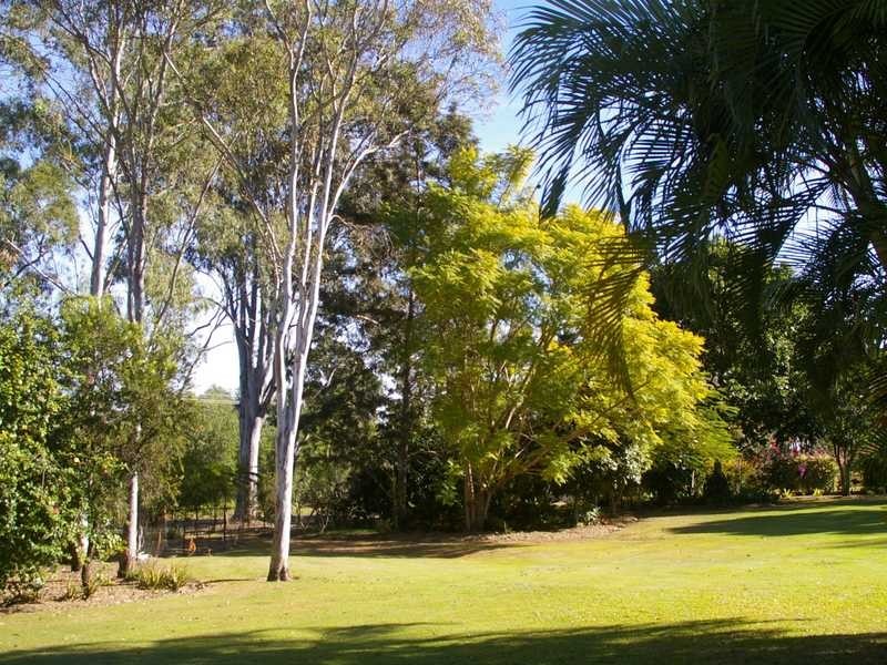 59 Haggartys Avenue, Karrabin QLD 4306