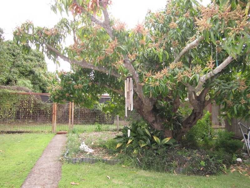 64 Bergin Street, North Booval QLD 4304