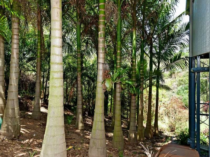 191 Allawah Road, Chuwar QLD 4306