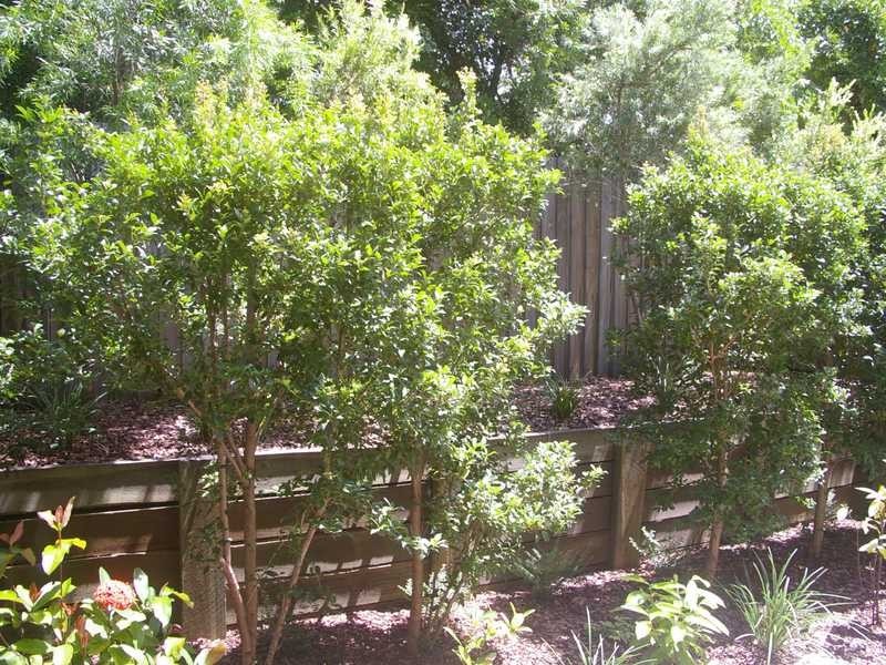 Unit 37/38 Cooinda Street, Eastern Heights QLD 4305