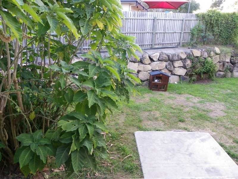 12 Wyndham Street, North Ipswich QLD 4305