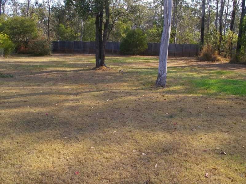 16 Pinto Place, Pine Mountain QLD 4306