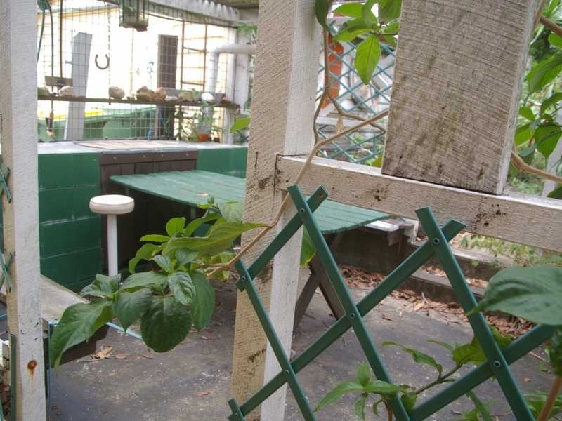 22 Pemberton Street, Booval QLD 4304