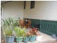 75 Bergin Street, North Booval QLD 4304
