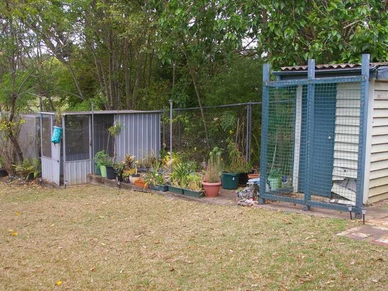 75 Bergin Street, North Booval QLD 4304