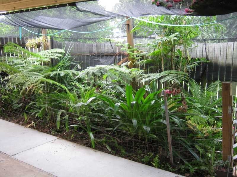 1/13a Merrell Street, East Ipswich QLD 4305