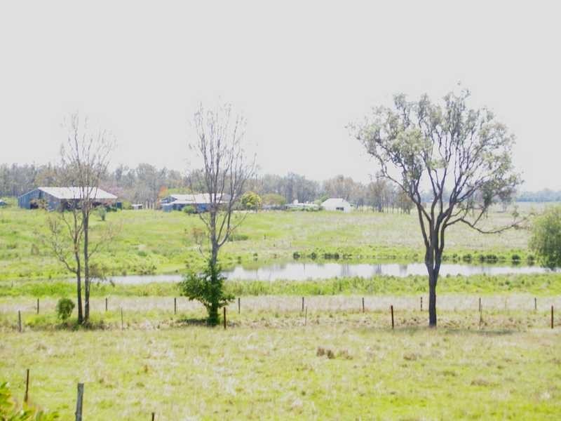 635 Munbilla Road, Munbilla QLD 4309