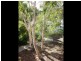 30 Bridge Street, North Booval QLD 4304