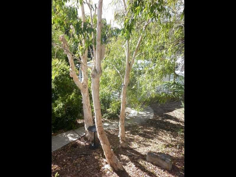 30 Bridge Street, North Booval QLD 4304
