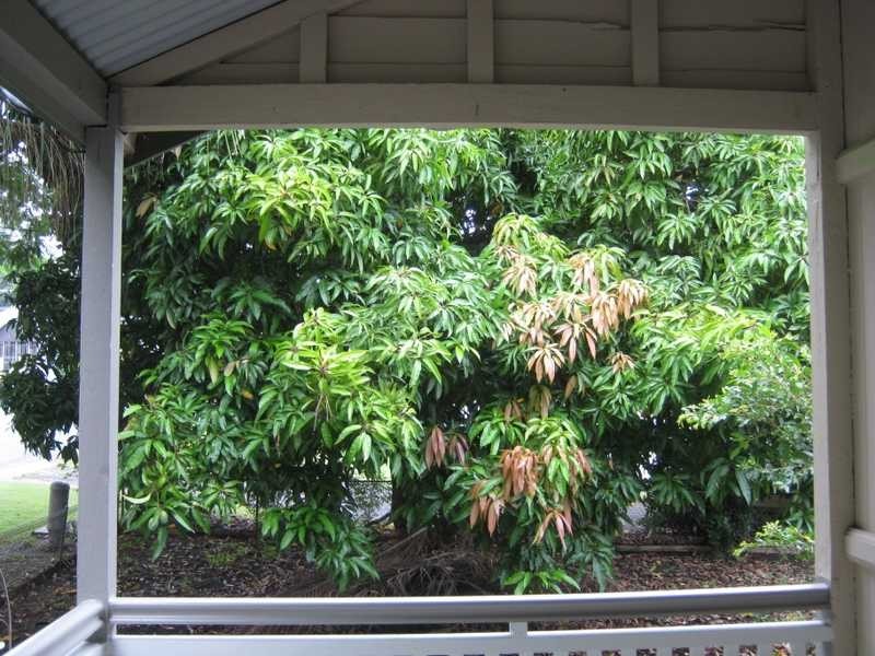 2 Spring Street, East Ipswich QLD 4305