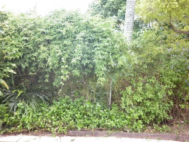 134 Fernvale Road, Brassall QLD 4305