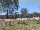 455 Woolooman Road, Woolooman QLD 4310