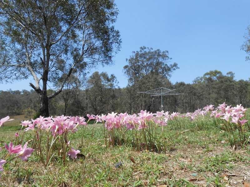 455 Woolooman Road, Woolooman QLD 4310
