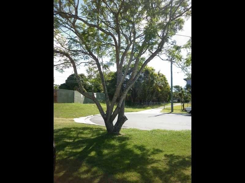 4 Roma Street, North Booval QLD 4304