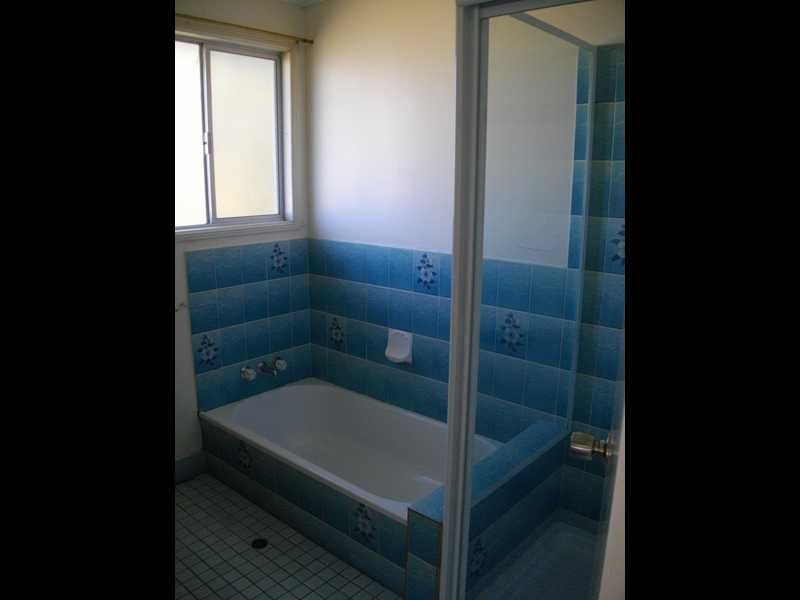 99 Chubb Street, One Mile QLD 4305