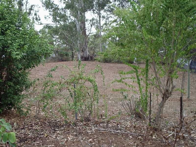 32 Ipswich Street, Riverview QLD 4303