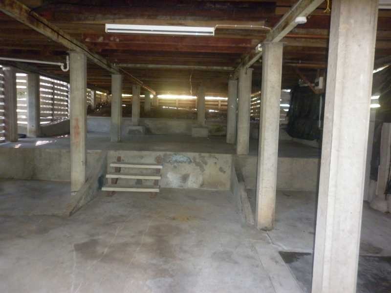 40 Coverack Street, Leichhardt QLD 4305