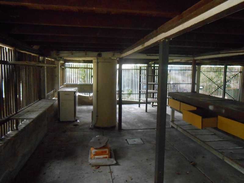 26 Cyprus Street, North Ipswich QLD 4305