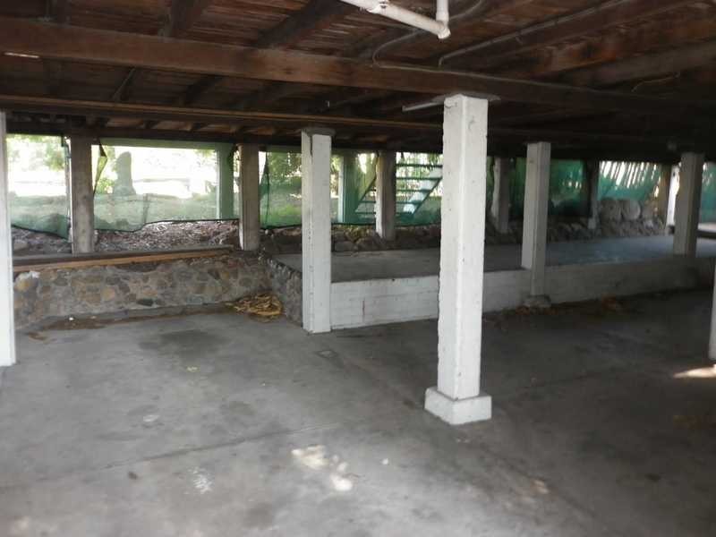 42 Bergin Street, Booval QLD 4304