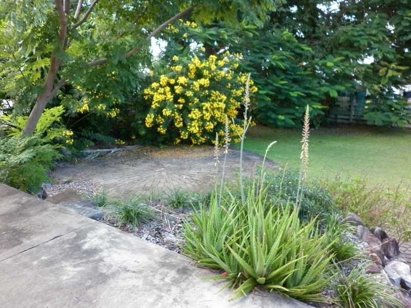 23 Dulcie Street, Raceview QLD 4305