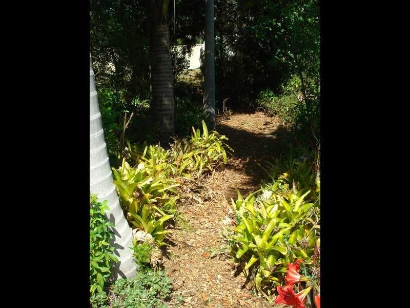 10 Parcell Street, Brassall QLD 4305