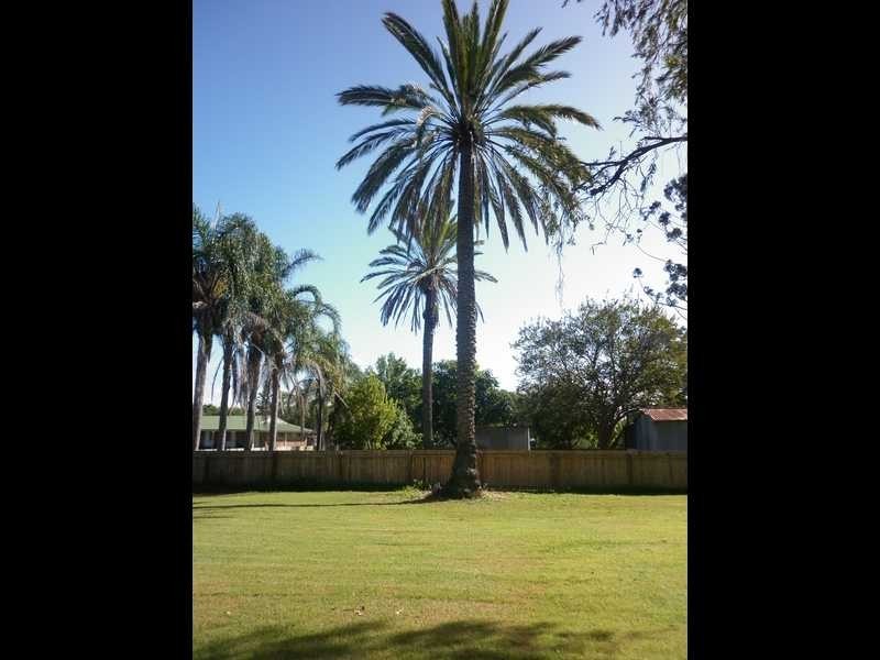 118 Woodend Road, Woodend QLD 4305