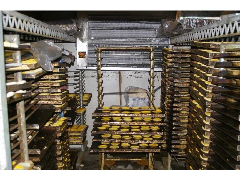 North Ipswich QLD 4305