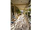 Brassall QLD 4305