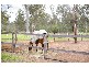 Fernvale QLD 4306