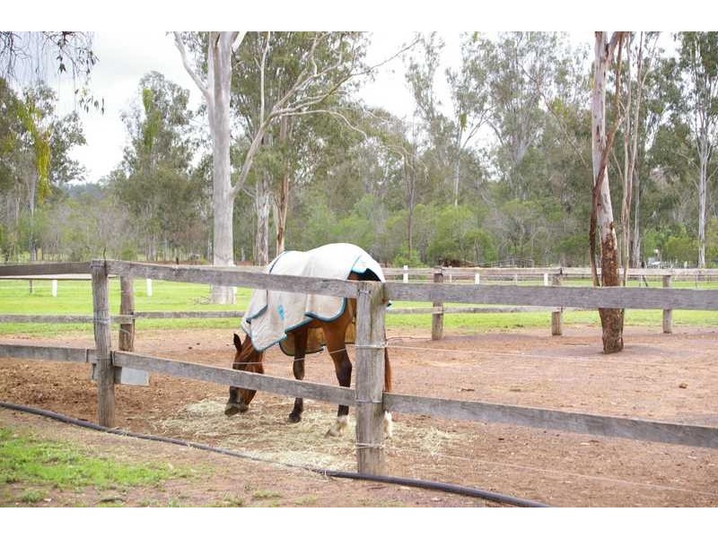 Fernvale QLD 4306
