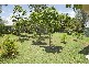 Leichhardt QLD 4305