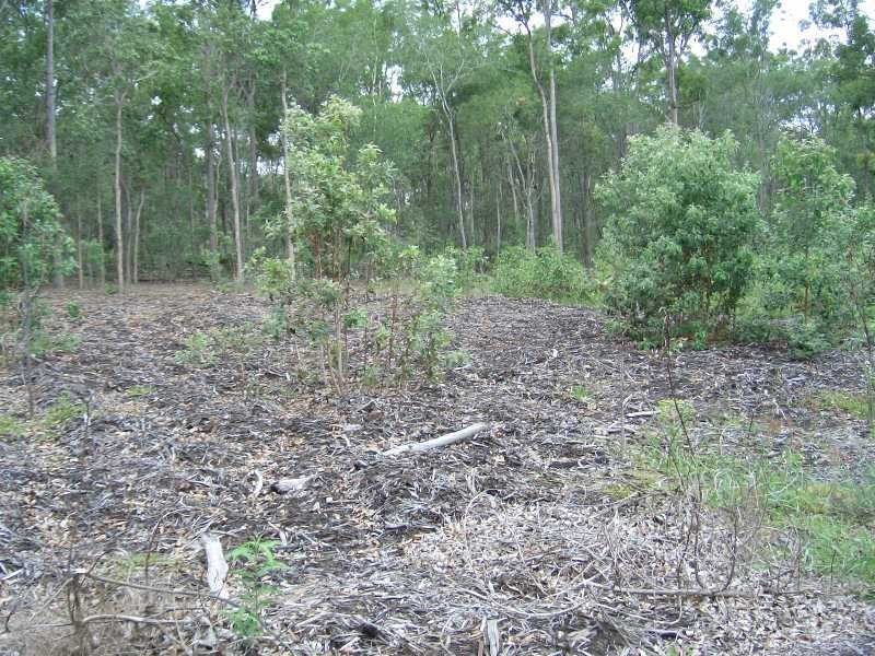 Pine Mountain QLD 4306