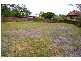 Brassall QLD 4305