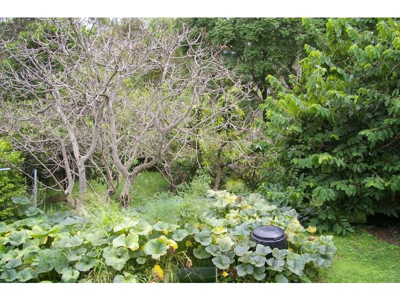 Sadliers Crossing QLD 4305