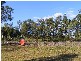 Pine Mountain QLD 4306