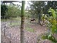 North Ipswich QLD 4305