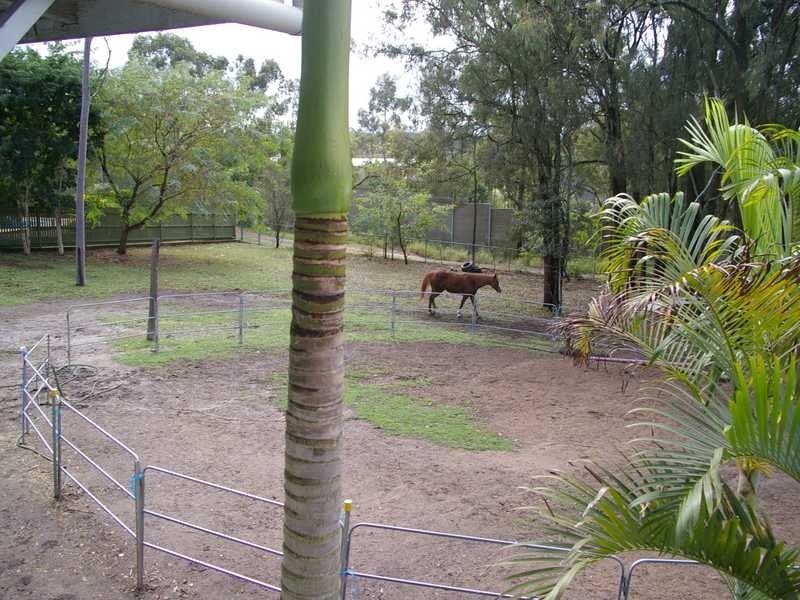 North Ipswich QLD 4305