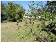 One Mile QLD 4305
