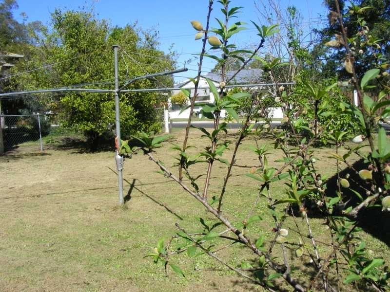 One Mile QLD 4305